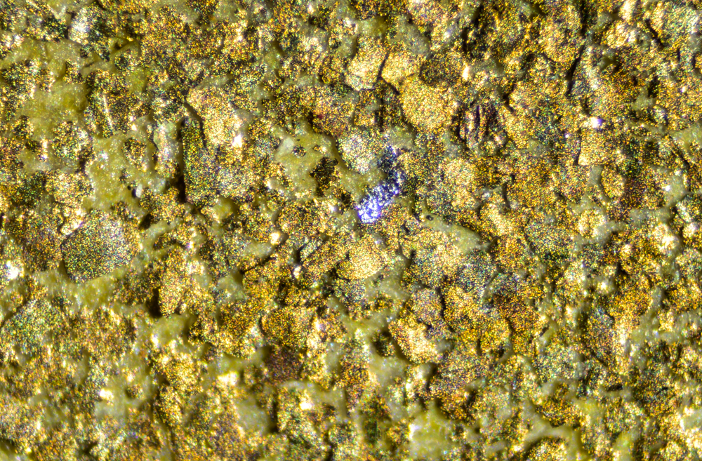 100x magnification of bronze embedded in resin upon the surface of the gold section of California Dream crate label.